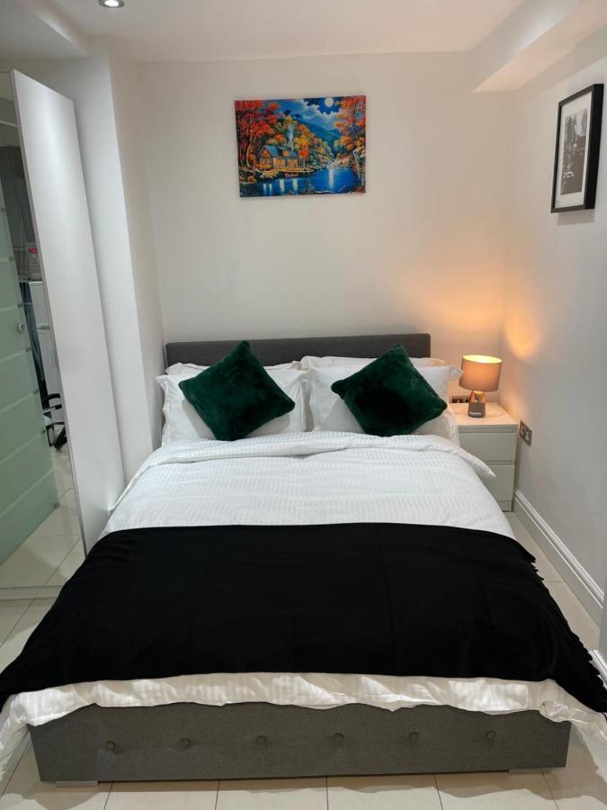 Modern 1 Bedroom In Apartment